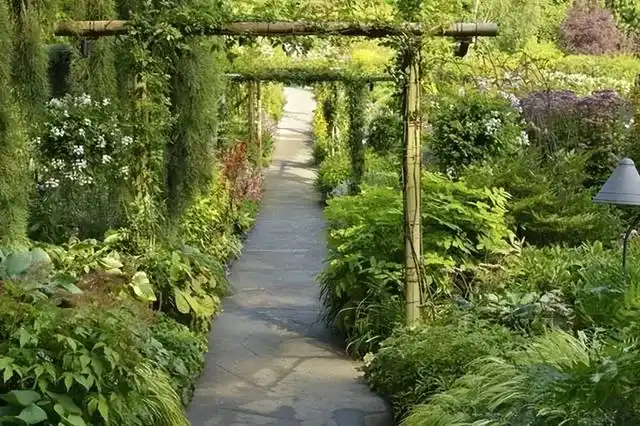 11个豪华大花园创意设计,大面积多格局