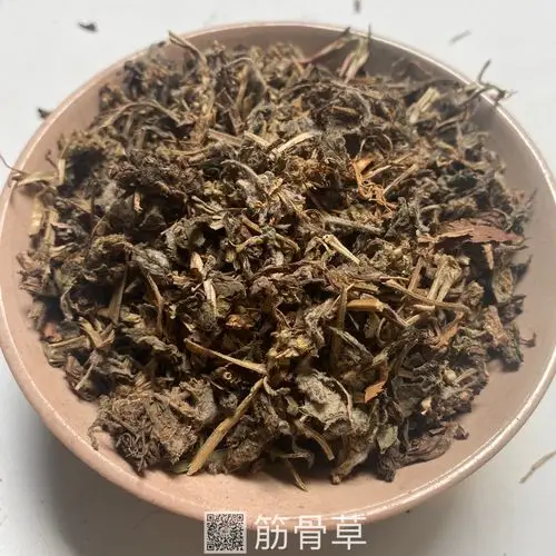 中药材筋骨草筋骨草一公斤价格有卖