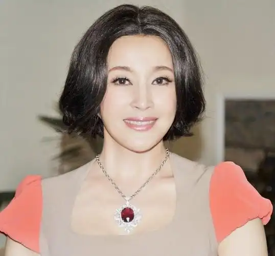 刘晓庆丈夫王晓玉简历(富豪王晓玉个人资料简单介绍)