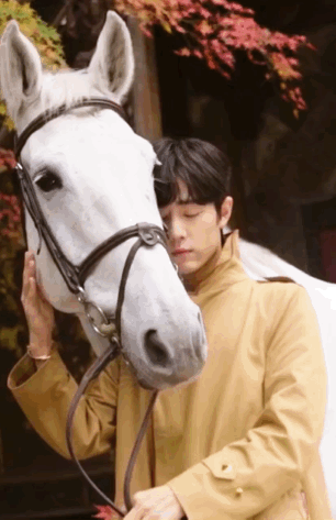 306_473竖版 竖屏gif 动态图 动图