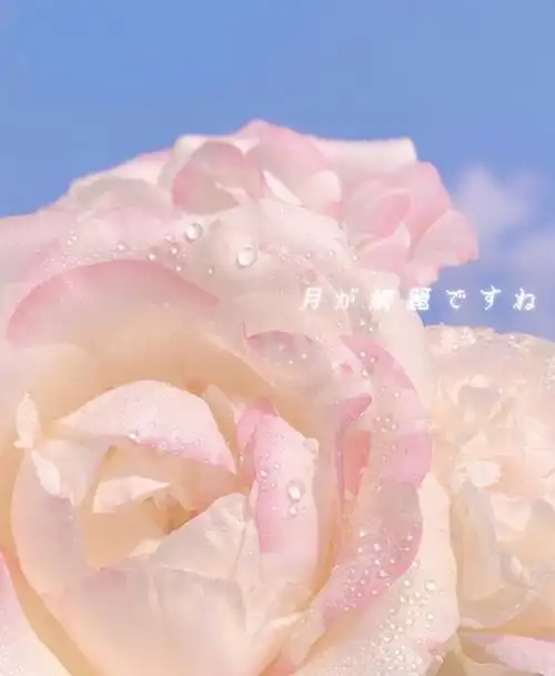 相信我看到最后一定有你喜欢的好看背景图喜欢的话别忘了点个赞支持下