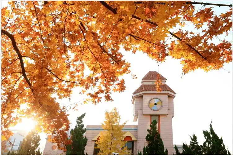 山东青岛岛城最美的4所国际学校你最想送孩子去哪个