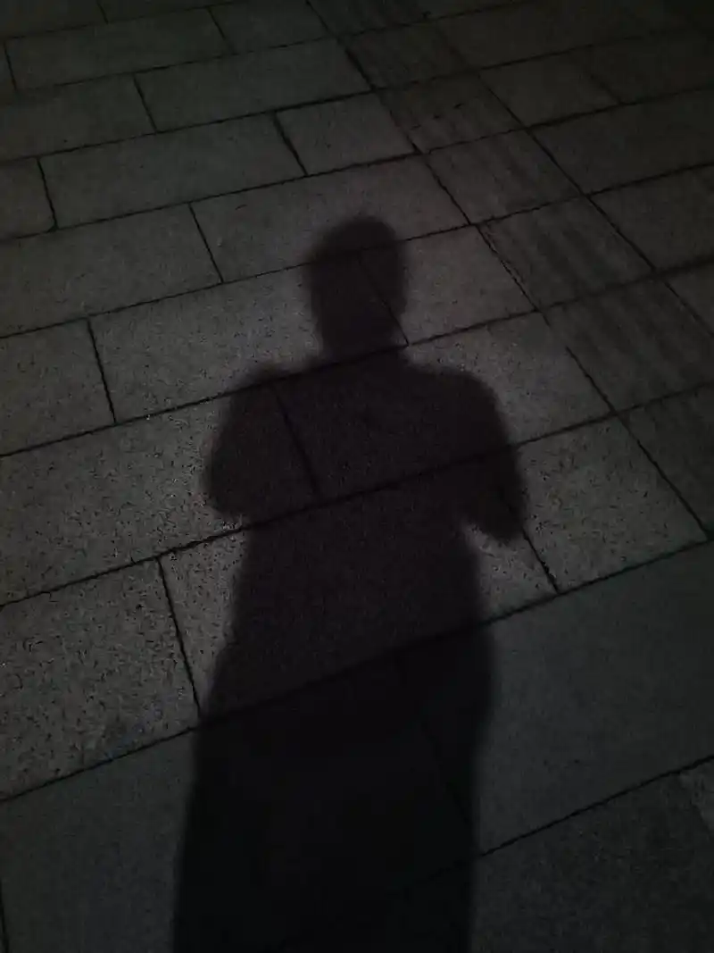 路灯下的影子.独自一人走在夜晚的街头,微风轻轻吹过,一丝凉凉 - 抖音