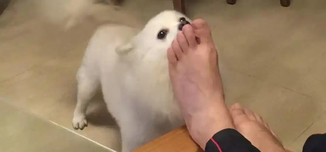 这种酷刑,不造成一点伤口,却没几个人能撑过10分钟