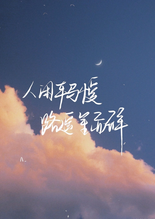 原耽摘抄引路星我喜欢你的信息素