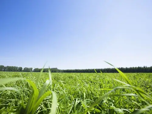 网|ps教程|psd模板|照片处理|ps素材|背景图片|字体下载|ps笔刷下载]