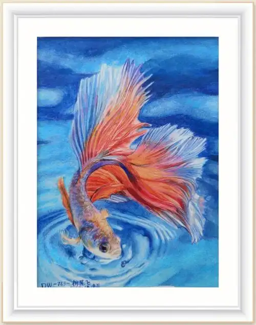 彩铅动物画学习鱼类画法