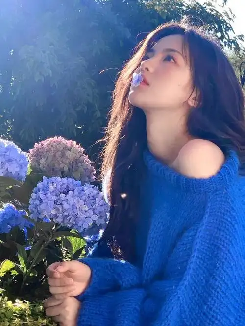 43你的蓝色天下杨超越