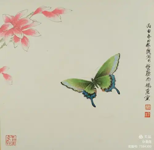 薛振兴工笔画——蝶恋花