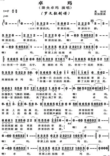 《卓玛高清正版》真知作词 秋加措作曲 降央卓玛演唱(奏) ,原创歌曲