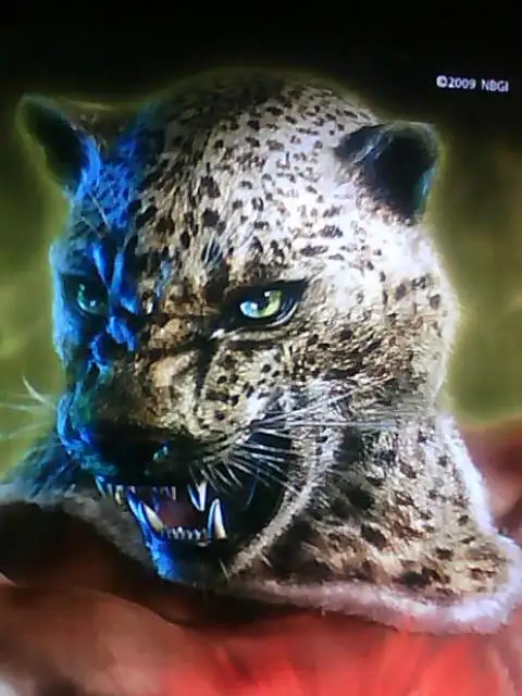 请教精通 铁拳6br的 豹王的高手 关于豹王的一些问题 (还请高手 说的