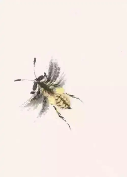 国画蝴蝶蜜蜂画法简单实用
