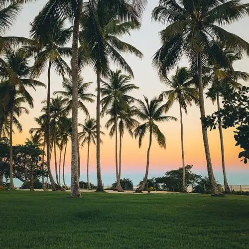 风景头像 成熟稳重