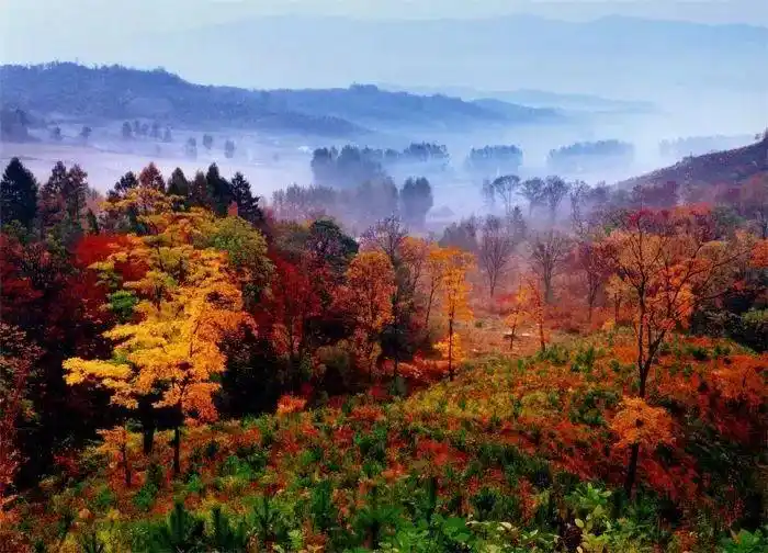 吉林市最美秋景地推荐!这个秋天 都是爱你的暖红色!