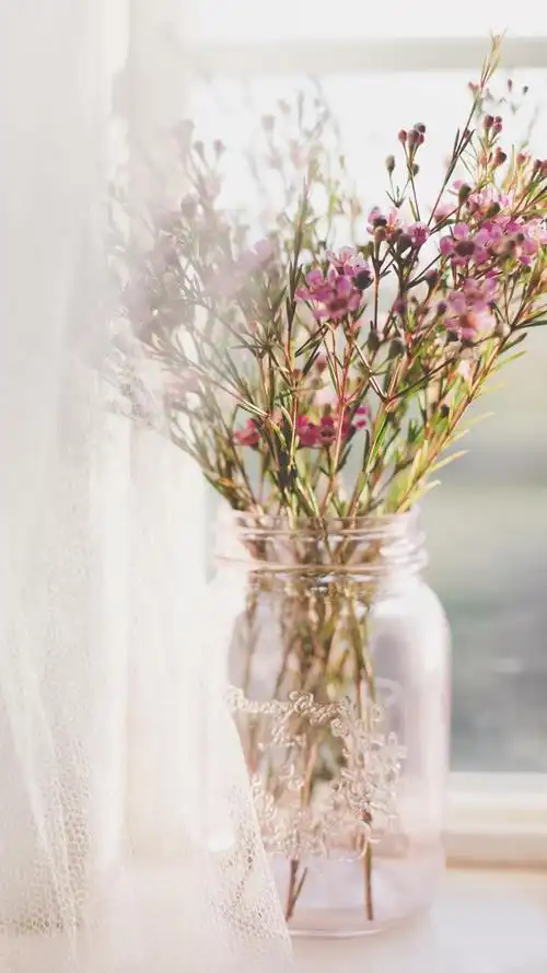 小清新文艺生活随景