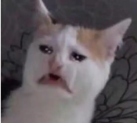 我连夜逃离地球尬死了