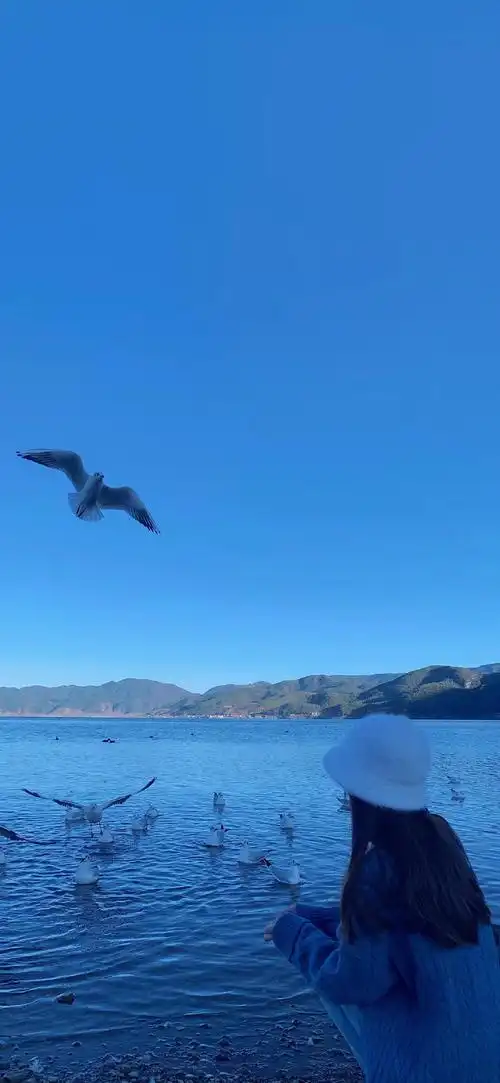 海边小清新壁纸_手机壁纸_风景静物手机壁纸_我要个性网