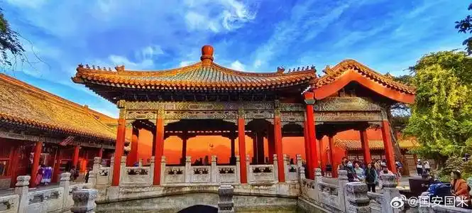 深秋的北京故宫御花园2023.11.7 摄影