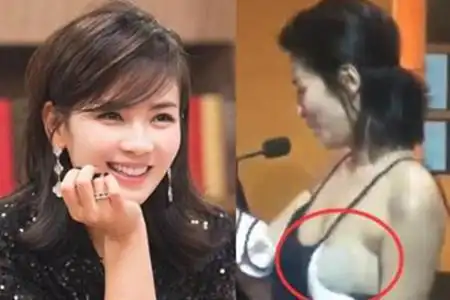 【图】刘涛衣服断了 贤惠女王巧妙化解尴尬