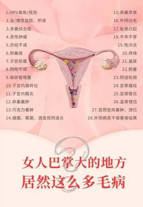 用最好的一切,守护你的神秘花园_养护_女性_妇科病