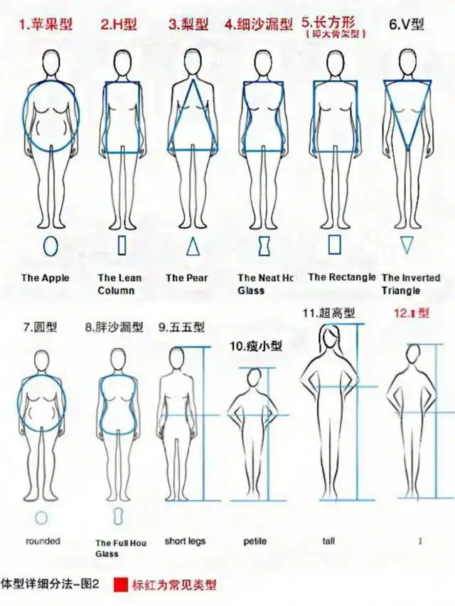 女生体型分类表