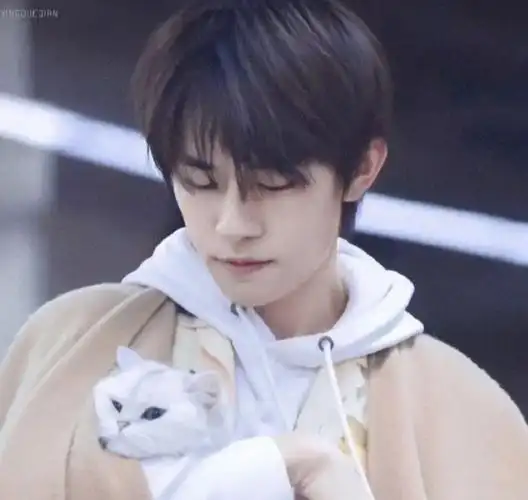 易烊千玺的情侣头像