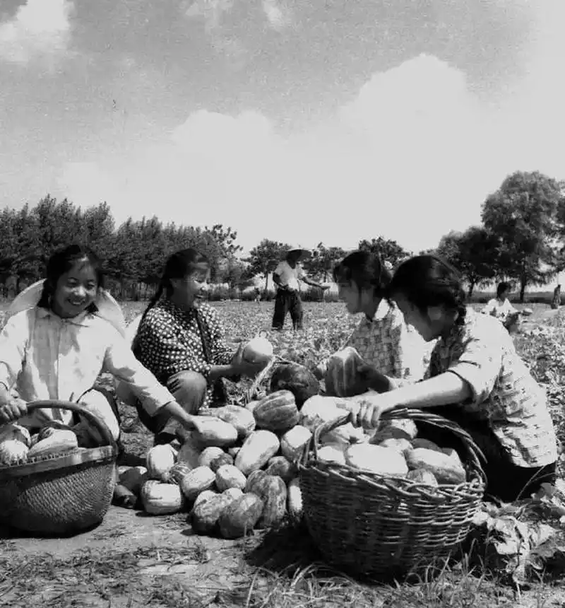 一组农村老照片,带你回到过去的那个年代 那么过去的农村是什么样的呢