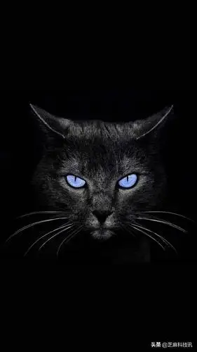 苹果睁眼壁纸大全iphone开屏眨眼壁纸太酷了