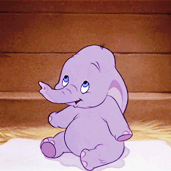 卡通gif小象gif可爱gif呆萌gif