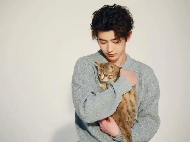 有种温柔叫蔡徐坤撸猫,猫咪都贪恋他的怀抱,ikun:被暖到了