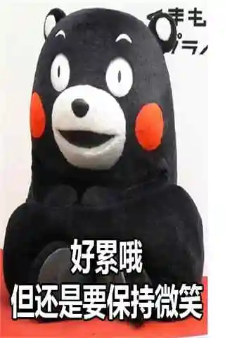 可爱熊本熊之好累哦表情包手机壁纸图集