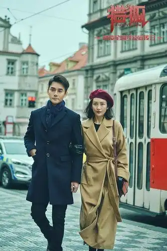 王凯王鸥主演猎狐收官在即引不舍经侦警察永远在路上奋战追逃一线