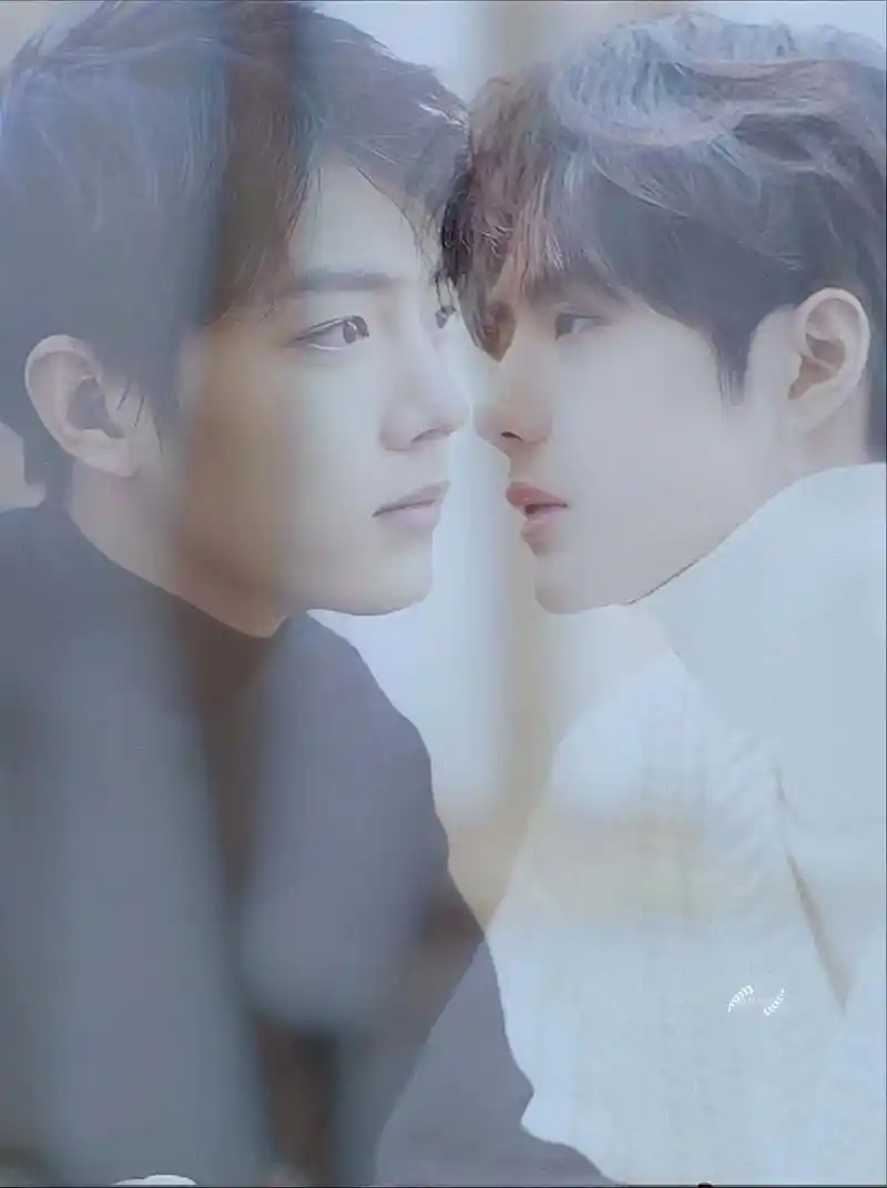 肖战王一博壁纸."爱是什么,爱是王一博肖战""他们对彼此的爱 - 抖音