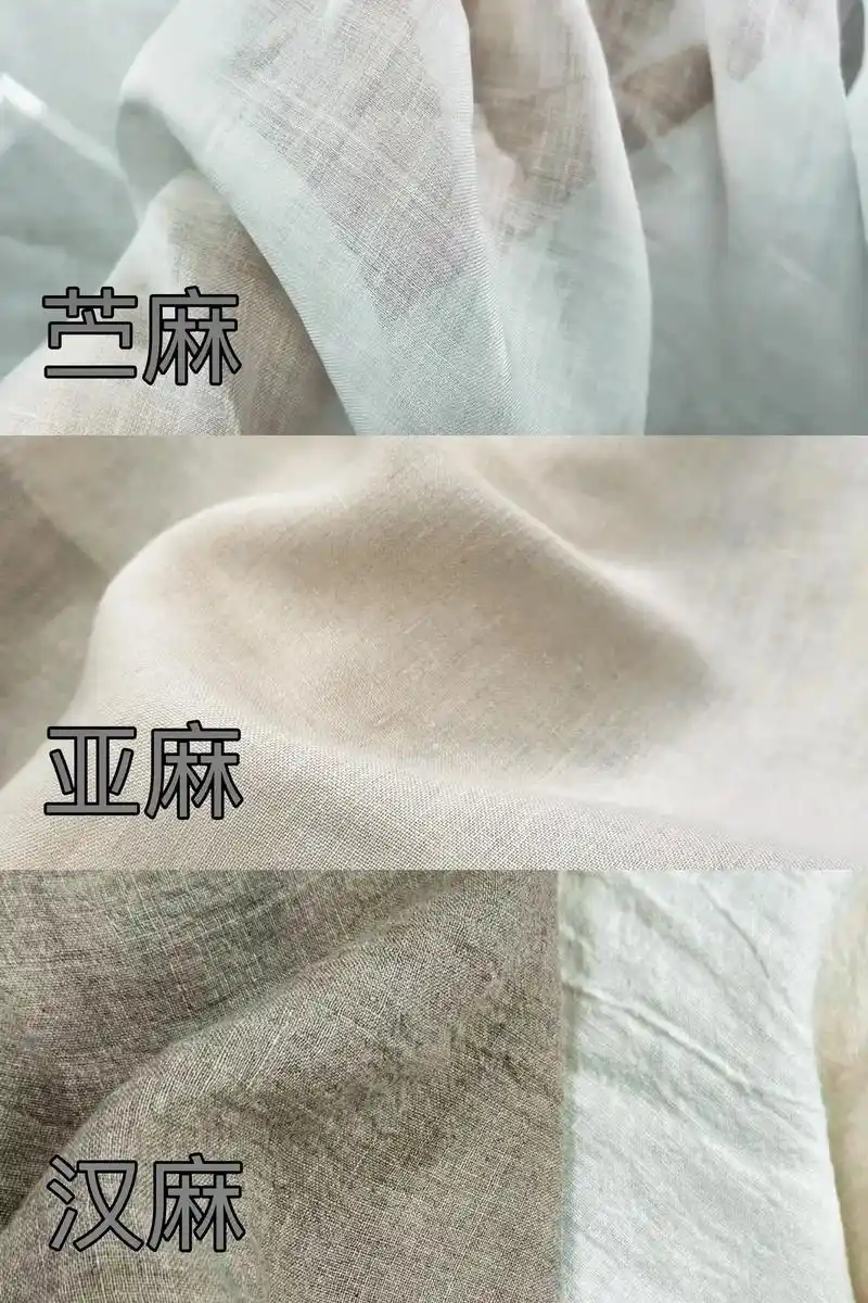 苎麻 亚麻 汉麻之间的区别.#亚麻 #麻料系列 #面料 #苎 - 抖音