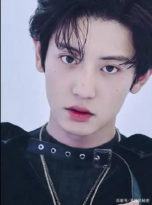 exo成员朴灿烈,他的颜值到底有多高?