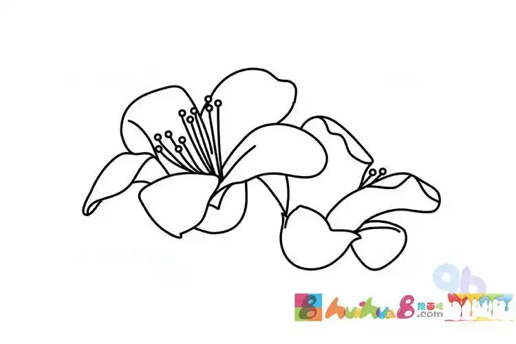 木棉树带花的简笔画 简笔画图片大全-蒲城教育文学网