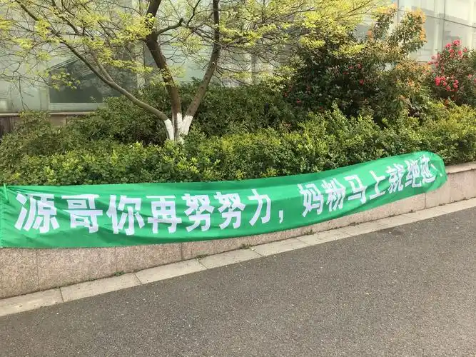 粉丝花式应援标语,满满的都是爱王源的心