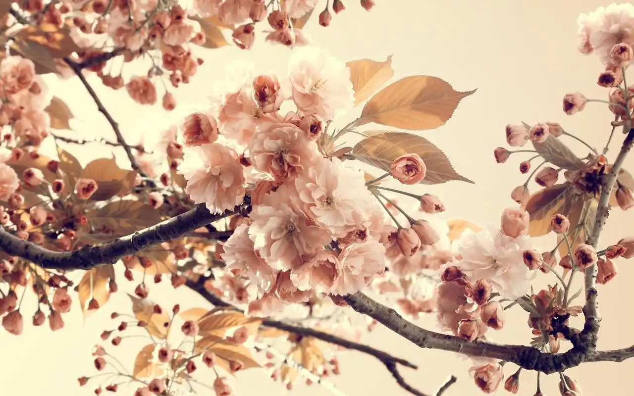 首页 桌面壁纸 复古怀旧背景图片精美高清壁纸上一张下一张查看原图