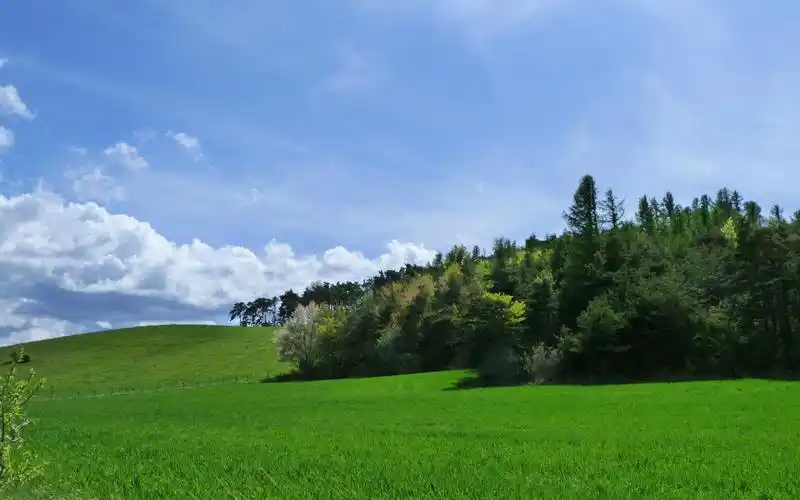 欣赏小清新优美的大自然草原风光,风景-回车桌面