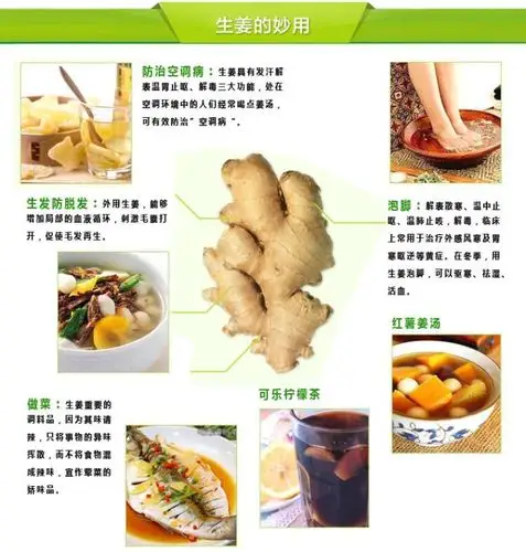 农家自种生姜 新鲜姜 原生态 湖南生姜 一年一季 绿色健康