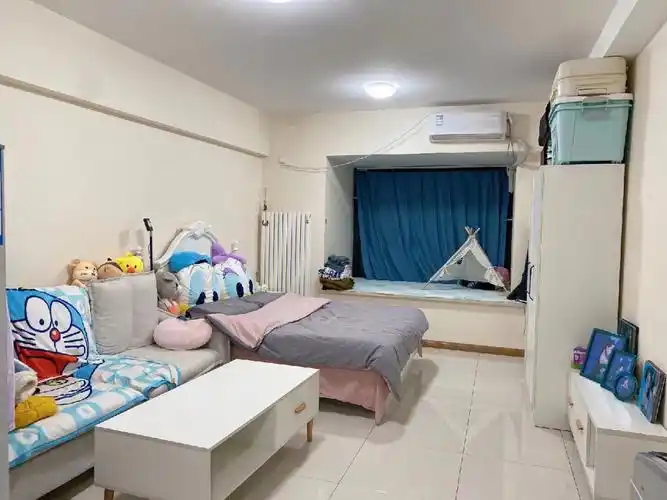 金地未未来精装大开间