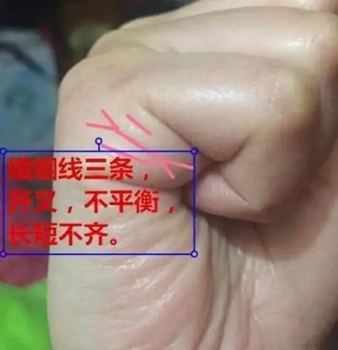 三条婚姻线上面最深 婚姻的"门当户对"要如何界定?