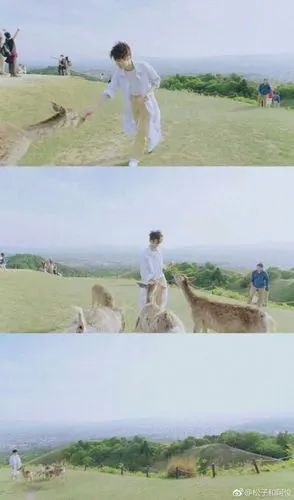 王俊凯三格壁纸(第三弹)