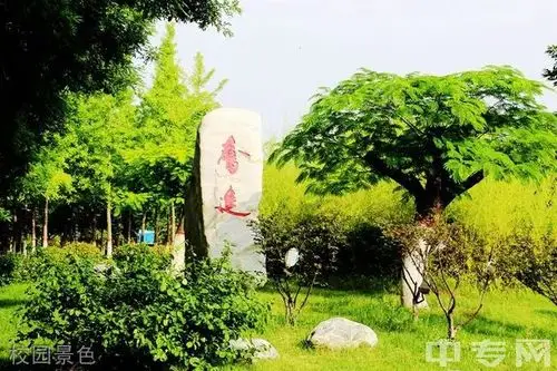 富平县蓝光中学[普高]图片
