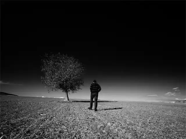 现实又很扎心的语录 看透人心的悲凉句子