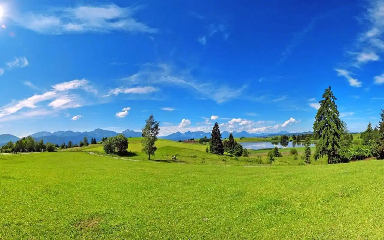 高清护眼绿色草原图片桌面壁纸