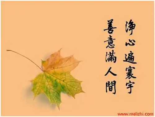 心静励志的句子