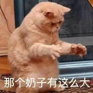 那个奶子有这么大 - 斗图表情包 - 斗图神器 - adoutu.com