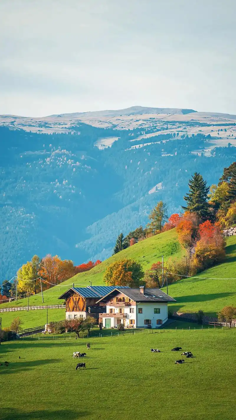 大自然绿色高清护眼壁纸 #大自然的搬运工 #风景如画 #护眼 - 抖音