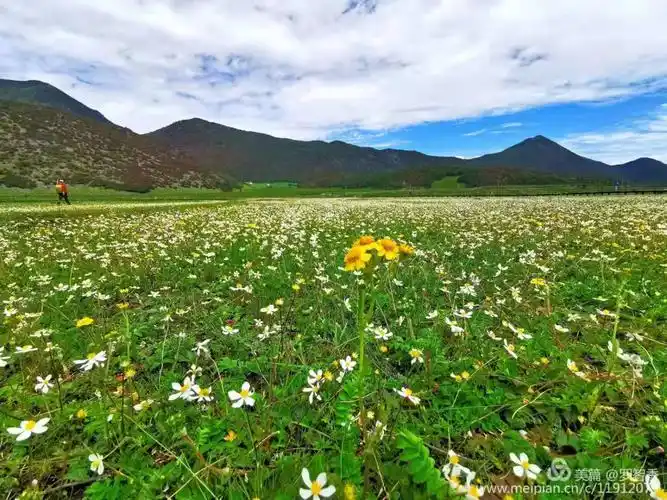 周末好去处丽江这地方竟然还有很多人不知道